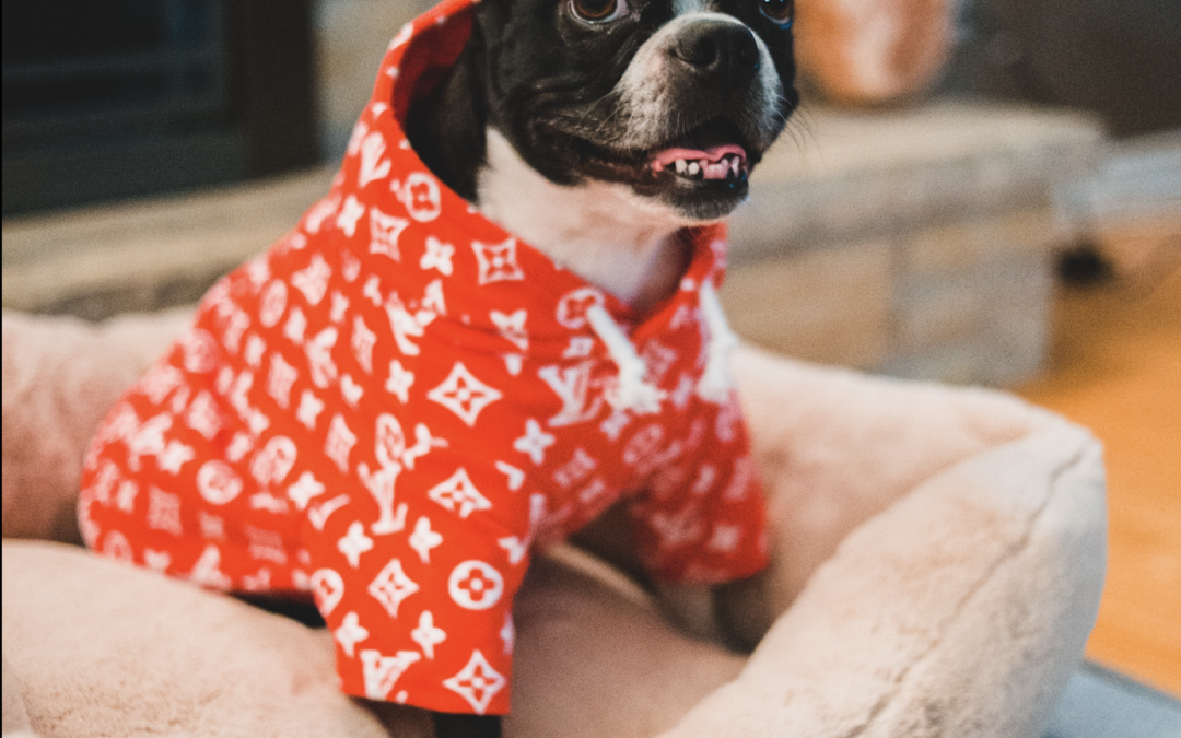 Maison ou appartement