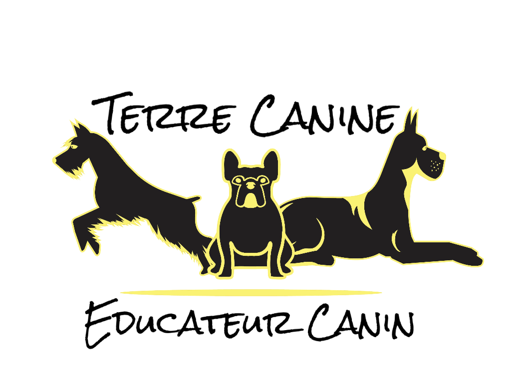 Terre Canine - Educateur canin Pamiers (ariège 09)